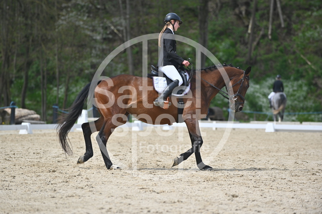 DSC_3462 | sattelsport - Realisiert mit Pictrs.com