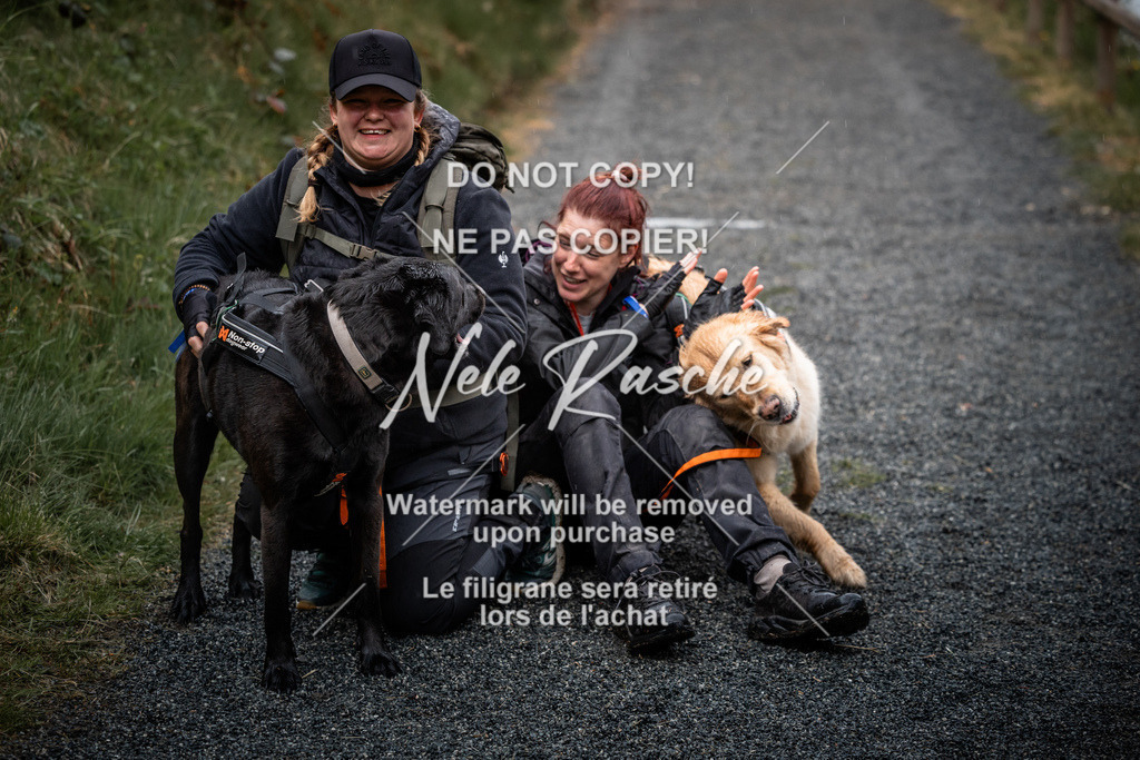 nelerasche_SaAbends_343 | nelerasche
