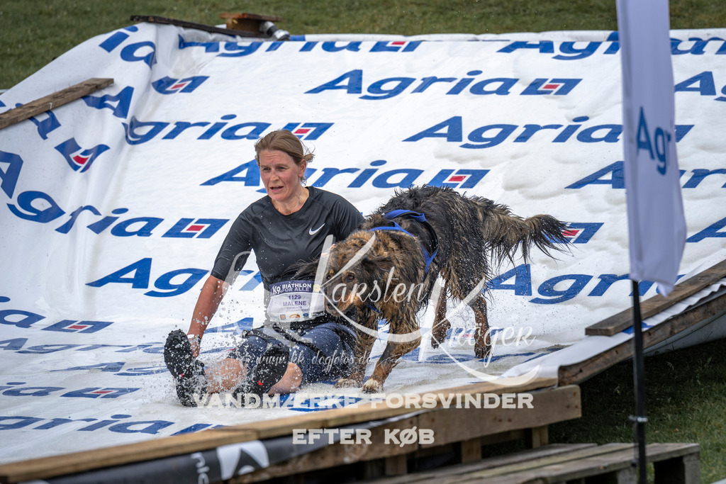 1145_ZZ93712 | kk-dogfotos