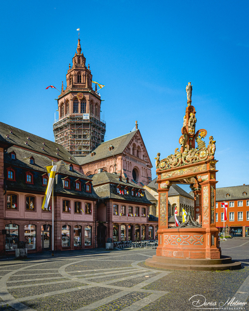 _DSC1508 | Fotografien, Fotos und Bilder aus Mainz, Frankfurt, Wiesbaden und anderen Orten auf der Welt - Fotografiert von Darius Metzner