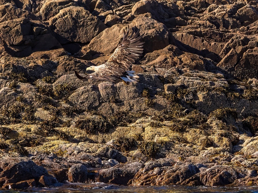 P1001653-LR-topaz-denoise-enhance | Natur im Moment - Realisiert mit Pictrs.com