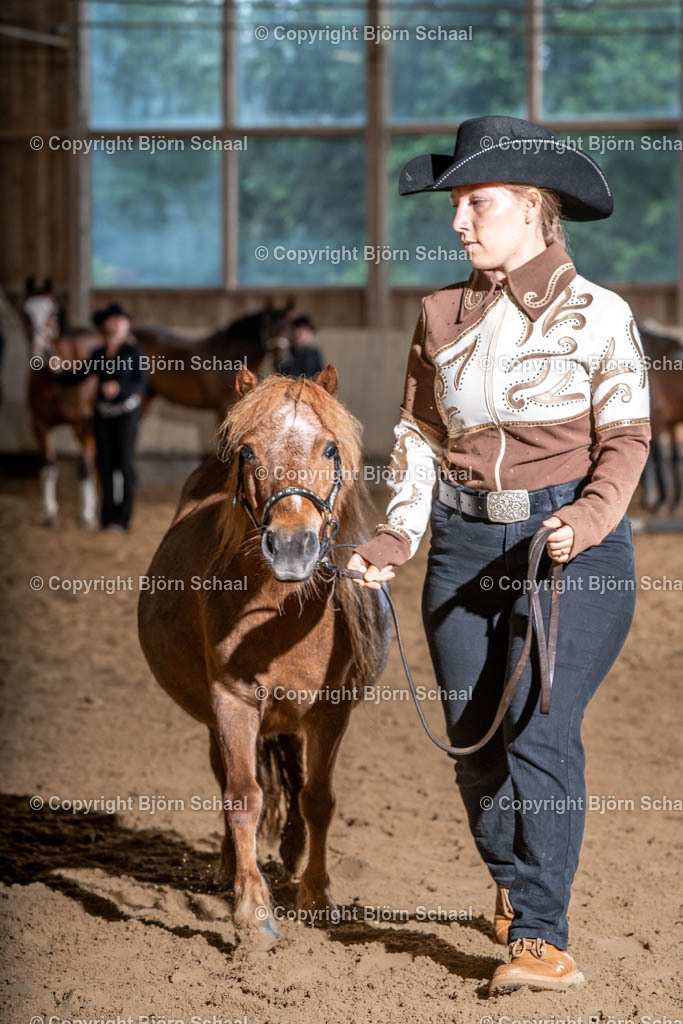 SBS03837 | BS-foto