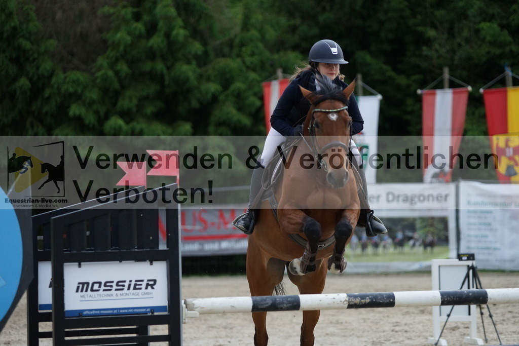 DSC07252 | equestrian-live-com