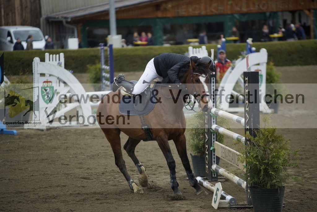 _DSC7131 | equestrian-live-com