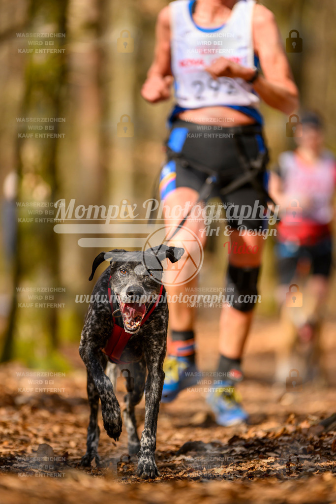 MompixPhotography_Habay2025_SA_CCC-183 | PayLife