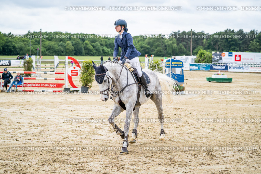 DSC05242 | Pferdegrafie