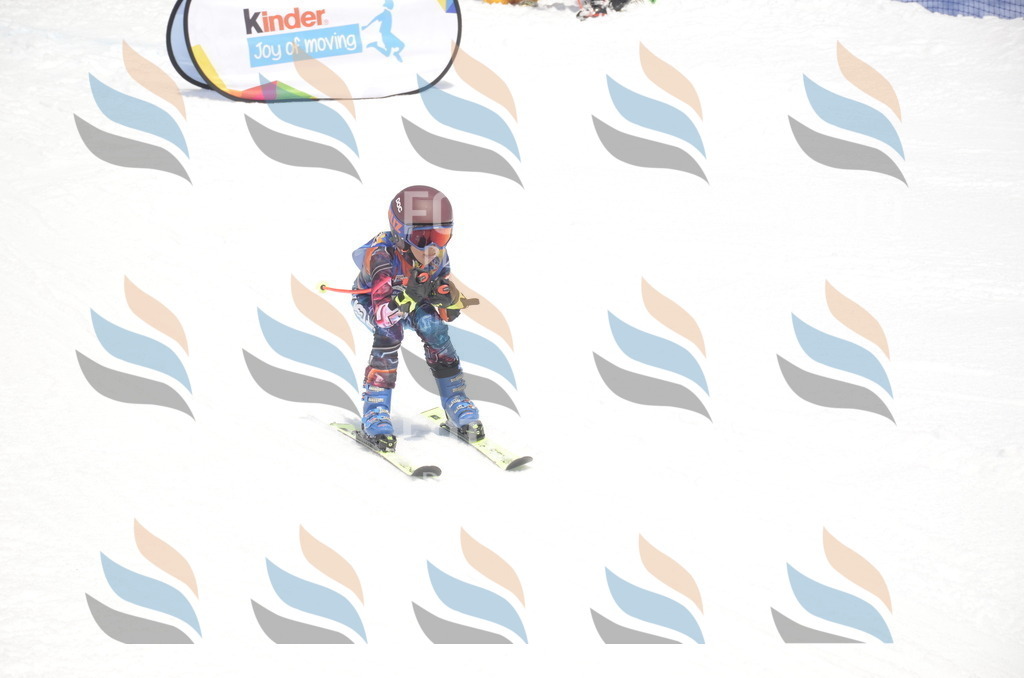 _ELE9033 | holidayphoto