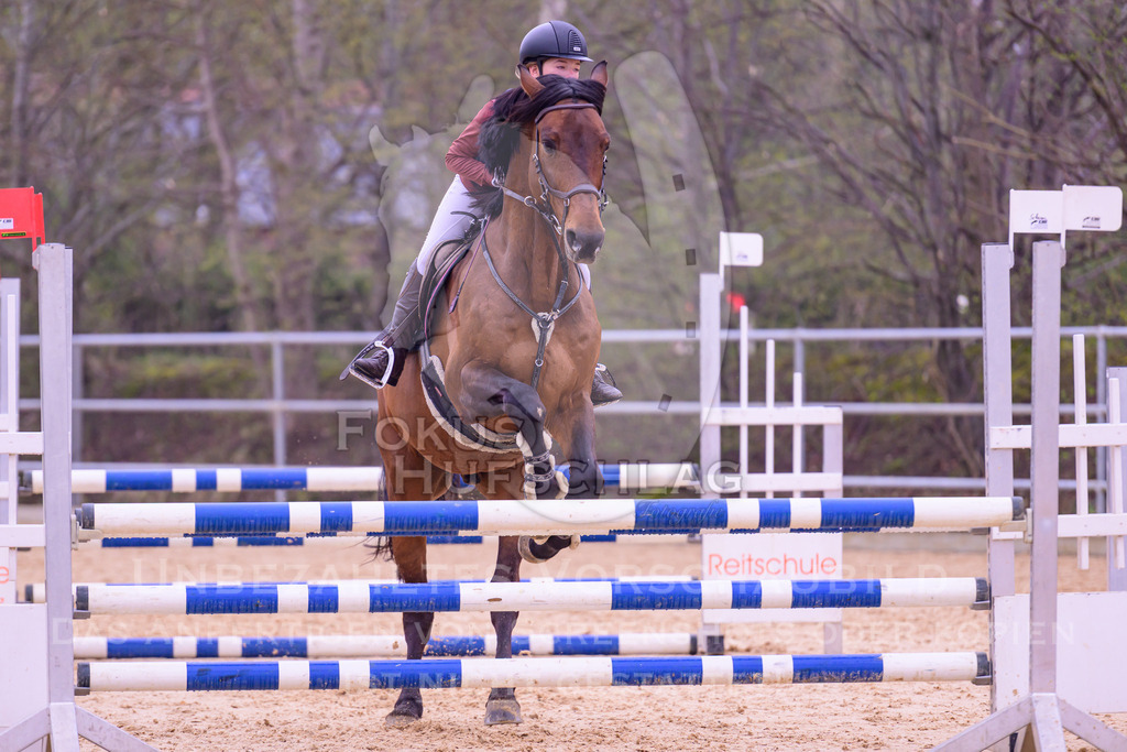 12042026-Mammendorf-Prfg37-0715 | Fokus Hufschlag Fotografie - Realisiert mit Pictrs.com