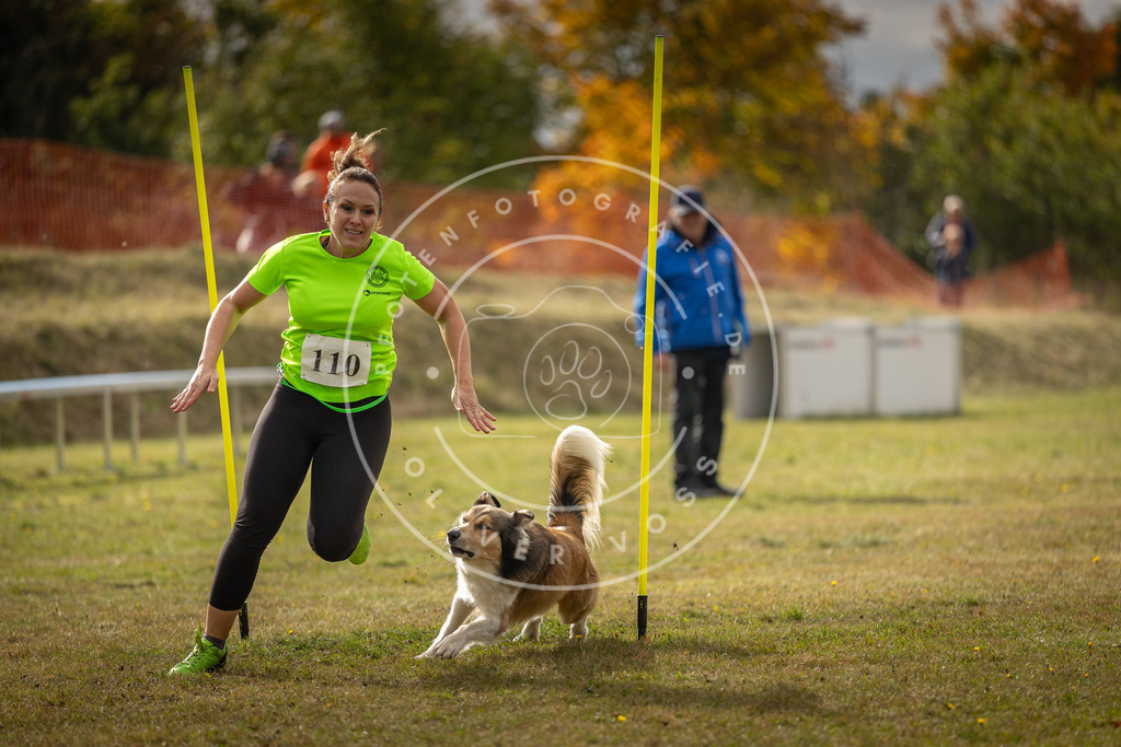 Pfotenfotografie_DV3A7189 | Hundefotografie, Tierfotograf, Pfotenfotografie, Fotoshooting Hund, Hunde Portrait, Hundesport, Hundeportraits, Heideshooting, Hunde, Sportfotograf, Hundefotograf, Turnierhundsport, THS,  - Realisiert mit Pictrs.com