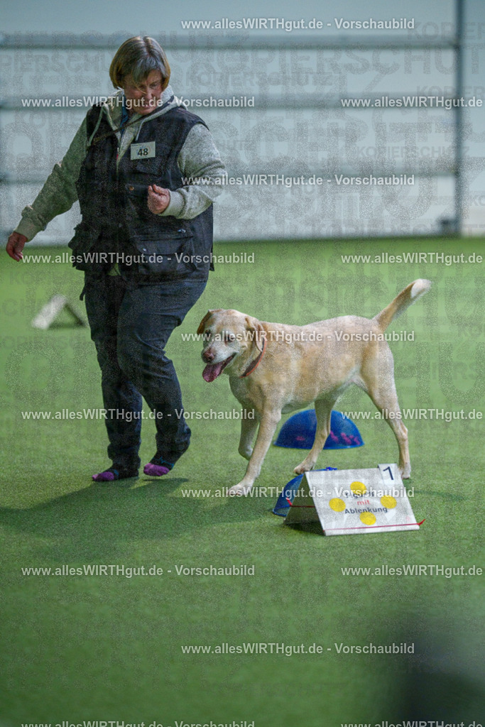 7R506305 | Professionelle Tierfotografie in Mönchengladbach von Daniel Wirth (allesWIRTHgut). Liebevolle & natürliche Bilder von Hunden & Katzen für unvergessliche Erinnerungen.