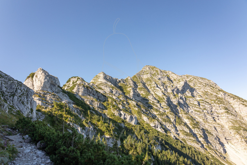 Rauher Kamm | Ihre Fotografin im Lungau, ihre Fotografin im Mostviertel, Wandbilder Onlineshop, Imagefotos für Ihr Unternehmen,  - Realisiert mit Pictrs.com