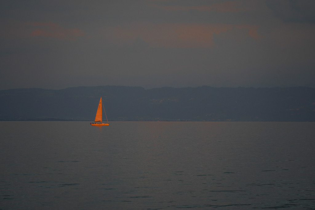 2021_06_10 DSC03941 | bridgeman - Realisiert mit Pictrs.com