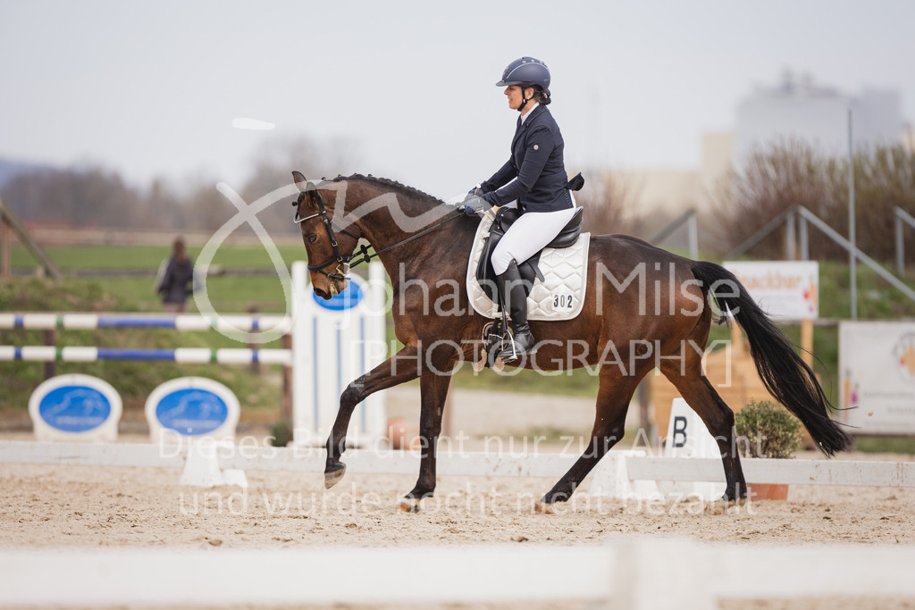 230410_Frühlingsfest_DressurWBA2-320 | Deine schönsten Turniermomente als professionelle Fotos! Entdecke hochwertige Pferdesport-Fotografie im Online-Shop. Jetzt Fotos finden & bestellen!