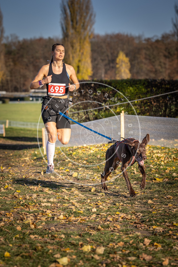 CaniXpix_DV3A1391 | Hundefotografie, Tierfotograf, Pfotenfotografie, Fotoshooting Hund, Hunde Portrait, Hundesport, Hundeportraits, Heideshooting, Hunde, Sportfotograf, Hundefotograf, Turnierhundsport, THS,  - Realisiert mit Pictrs.com