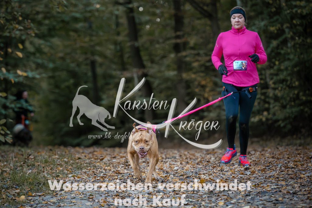 0829_ZZ94724 | kk-dogfotos