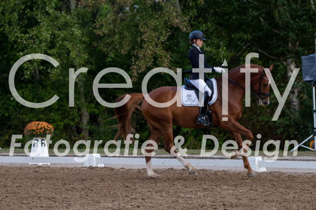 IMG_4223 | Creatify Fotografie