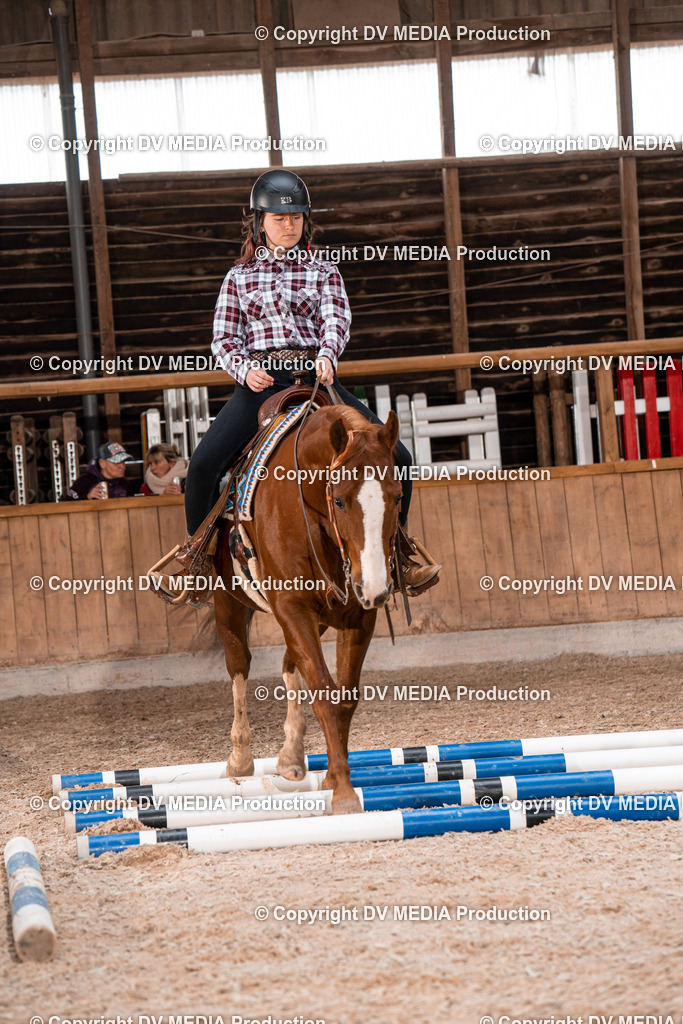 Heidelberg Tag 2-320 | dv-media-shop - Realisiert mit Pictrs.com