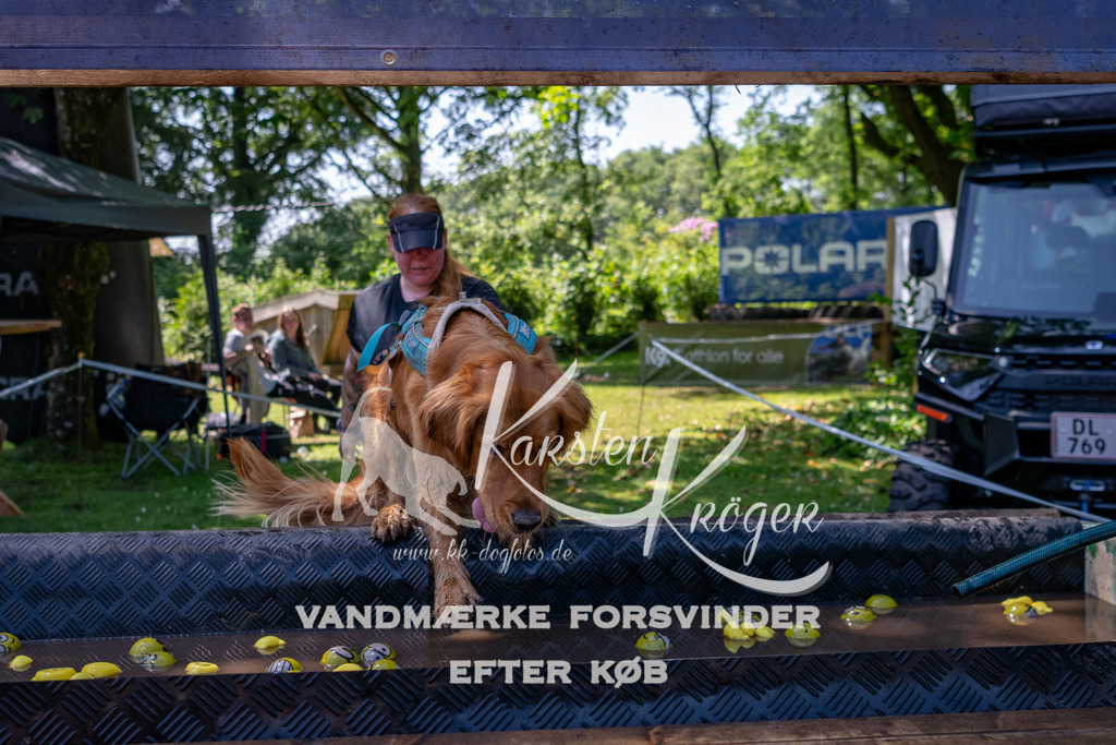 1318_ZZ90986 | kk-dogfotos