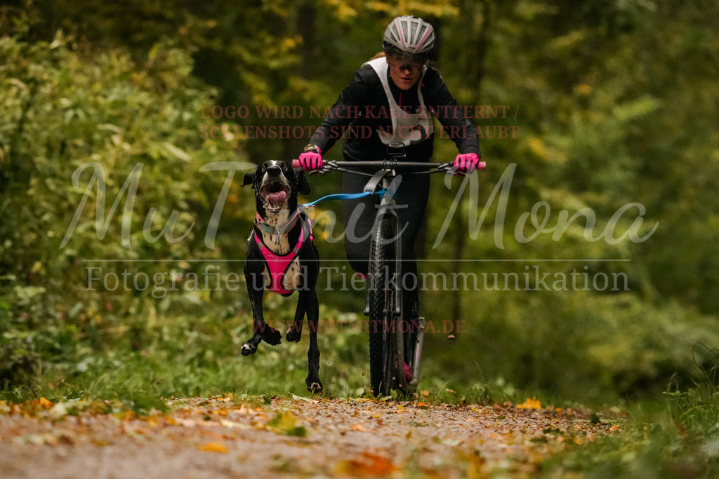 20251005_THS_Turnier-81 | MuT (Mensch und Tier) mit Mona - Fotografie und Tierkommunikation - Realisiert mit Pictrs.com