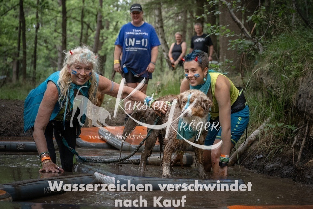 1232_ZZ99750T | kk-dogfotos