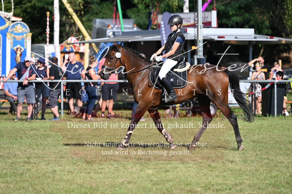 DSC_5212 | Pferde- und Turnierfotografie in Westsachsen. Pferdeportraits, Auftragszeichnungen und intuitive Kunst.