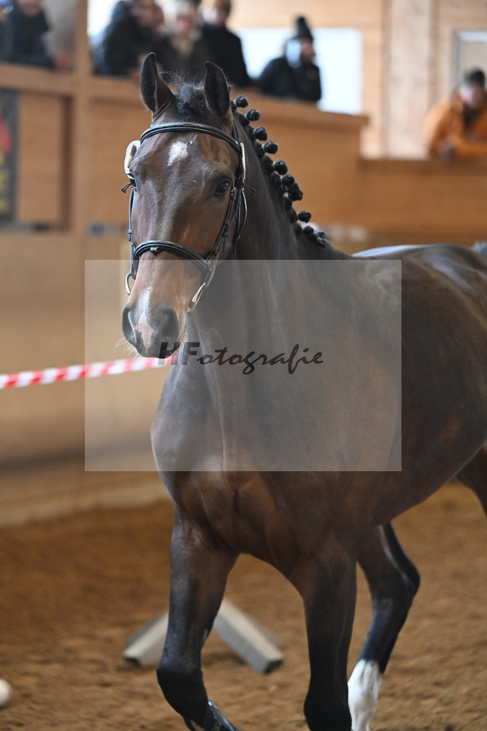 Kat-Nr. 24 Chaccalouu v. Conthalou_Rother-Link_16251035 | hf-fotografie - Realisiert mit Pictrs.com
