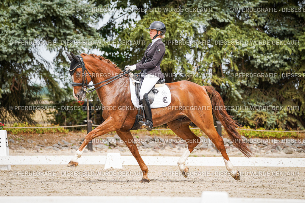 DSC05321 | Pferdegrafie