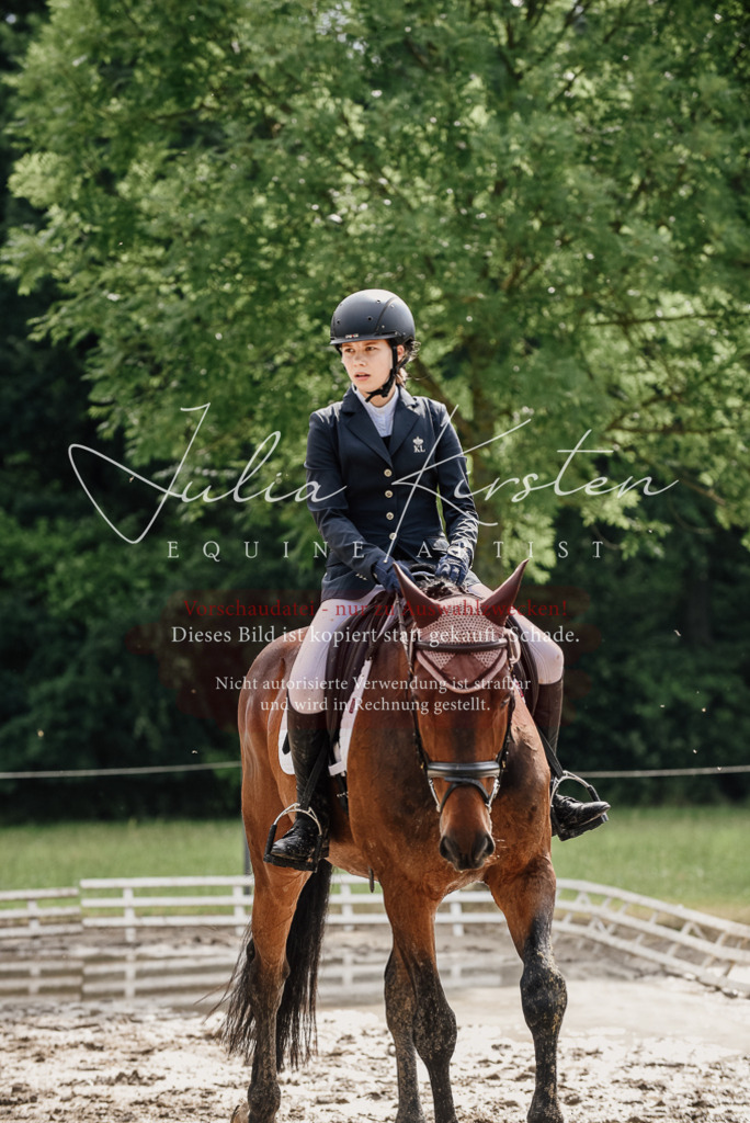 DSC_9647 | Pferde- und Turnierfotografie in Westsachsen. Pferdeportraits, Auftragszeichnungen und intuitive Kunst.