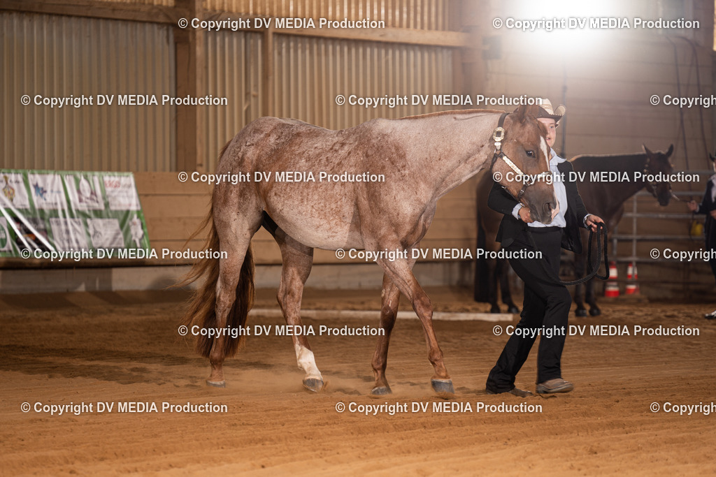 NID00021 | dv-media-shop - Realisiert mit Pictrs.com