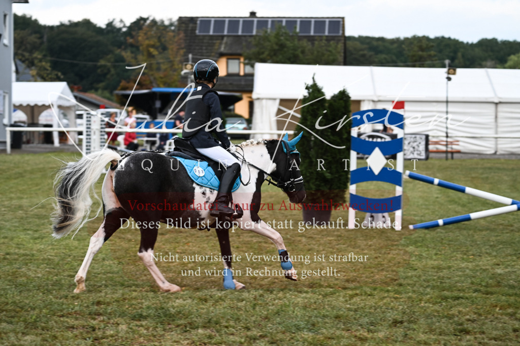 DSC_5465 | Pferde- und Turnierfotografie in Westsachsen. Pferdeportraits, Auftragszeichnungen und intuitive Kunst.