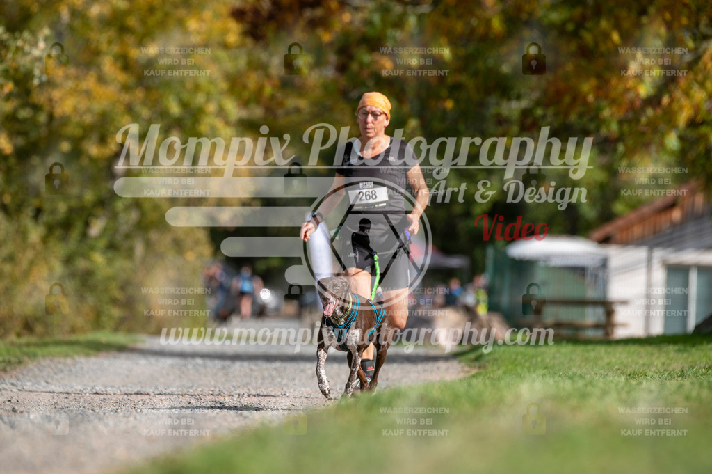 TSB_2023_E2_Canicross-108 | mompixphotography