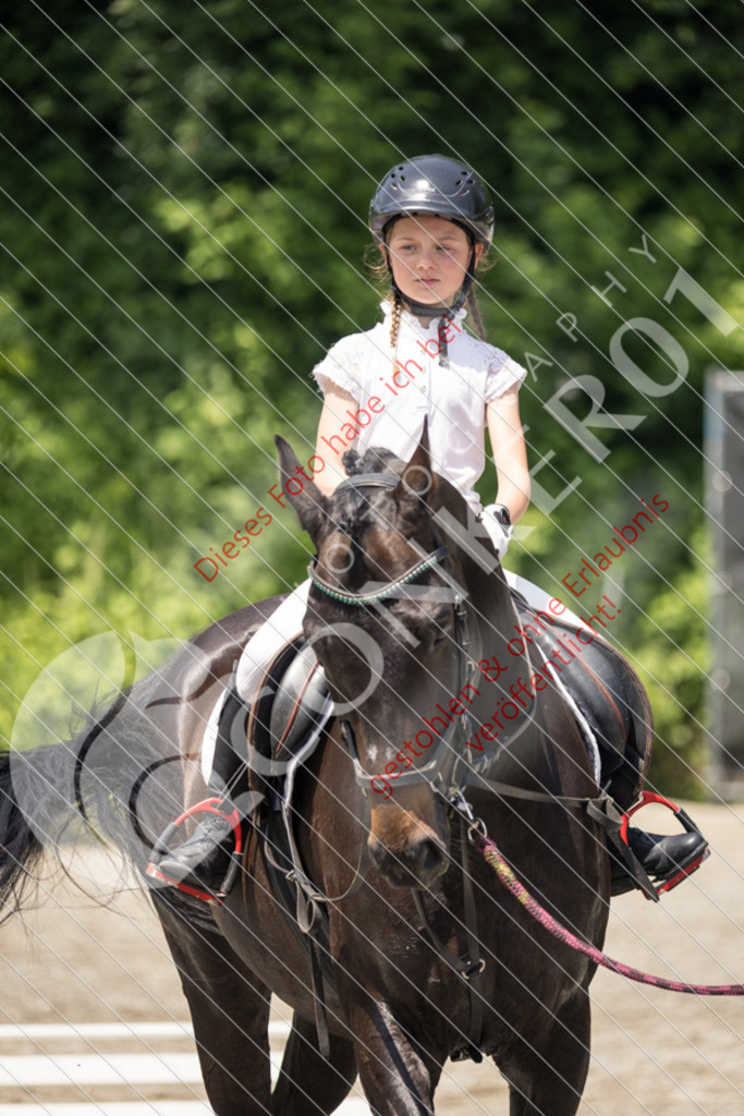 IMG_3594 | Sport-, Event- und Tierfotos in Profiqualität. Einfach auswählen, bestellen und herunterladen. Dein Moment – perfekt festgehalten.