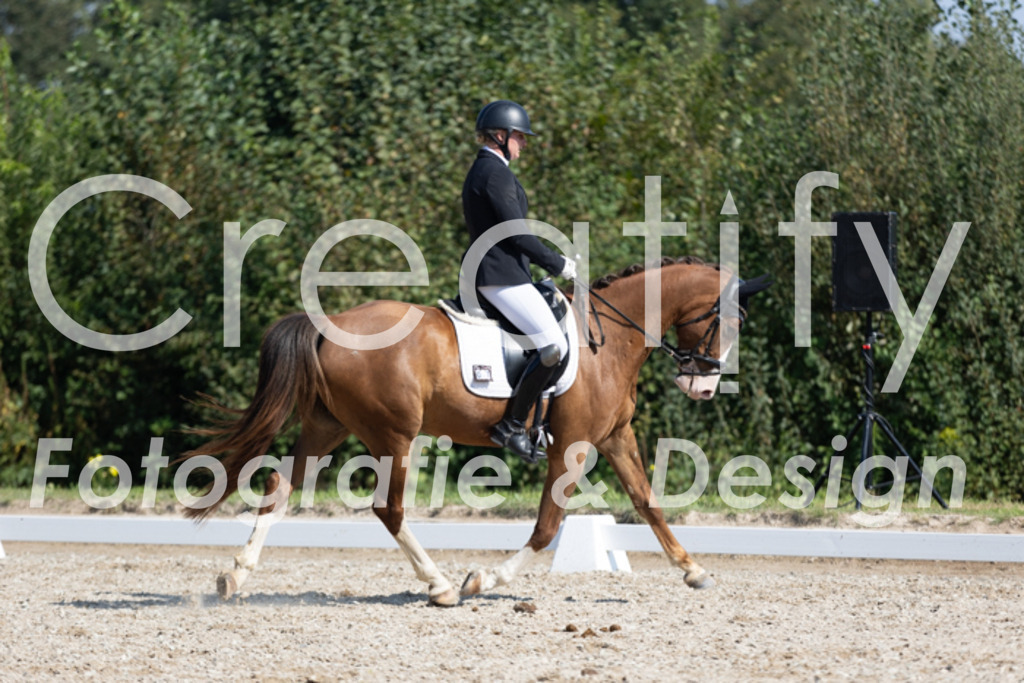 IMG_4888 | Creatify Fotografie