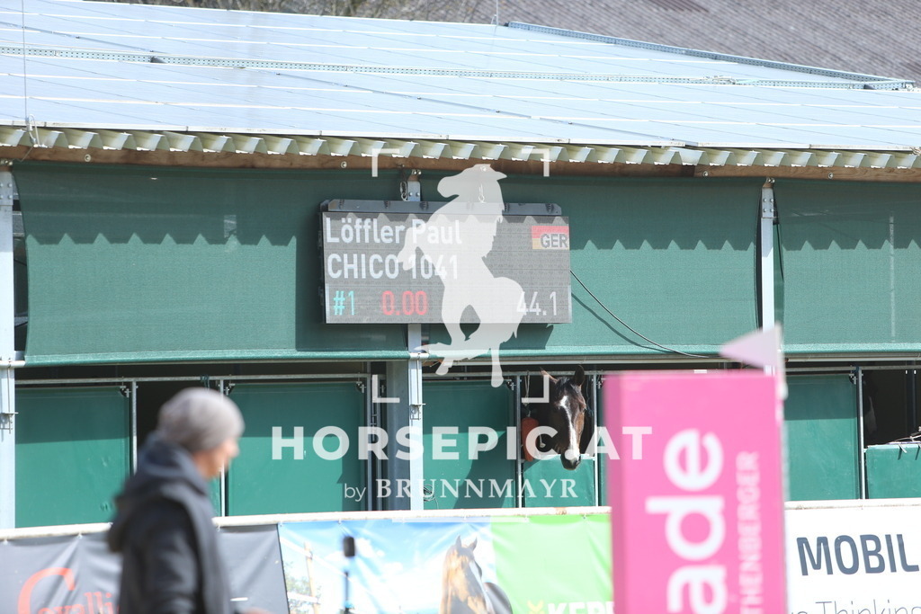 DL2Q9061 | Willkommen bei Brunnmayr - Design & Fotografie – Ihrem Spezialisten für Reitturniere und Pferdeveranstaltungen in Oberösterreich, Salzburg und Bayern! Seit über 17 Jahren sind wir leidenschaftlich dabei.