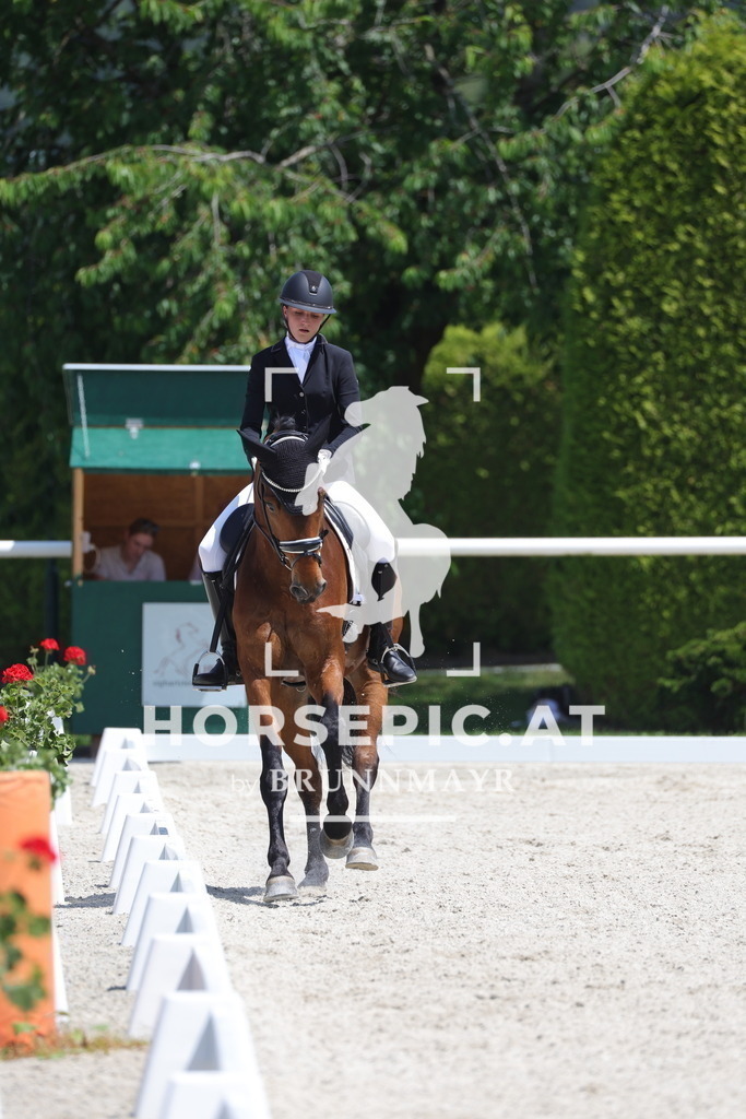 0P6A5832 | Willkommen bei Brunnmayr - Design & Fotografie – Ihrem Spezialisten für Reitturniere und Pferdeveranstaltungen in Oberösterreich, Salzburg und Bayern! Seit über 17 Jahren sind wir leidenschaftlich dabei.
