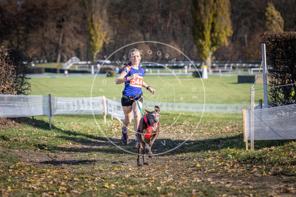 CaniXpix_DV3A8406 | Hundefotografie, Tierfotograf, Pfotenfotografie, Fotoshooting Hund, Hunde Portrait, Hundesport, Hundeportraits, Heideshooting, Hunde, Sportfotograf, Hundefotograf, Turnierhundsport, THS,  - Realisiert mit Pictrs.com