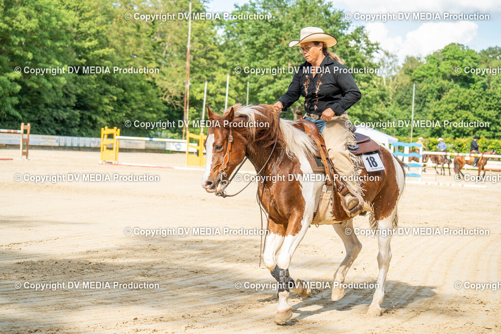Zeiskam Tag 2-2070 | dv-media-shop - Realisiert mit Pictrs.com