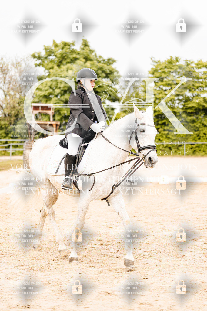 CK904795 | Turnierfotografie Pferdefotografie Trier Rheinland-Pfalz Pferdesport Reitsport Tierfotografie Sportfotografie Pferdevideo Pferdevideografie Equestrianvideography equestrianphotography  - Realisiert mit Pictrs.com