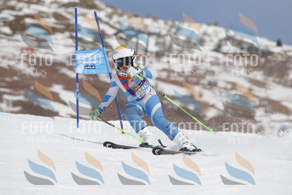 _U3G2901 | holidayphoto