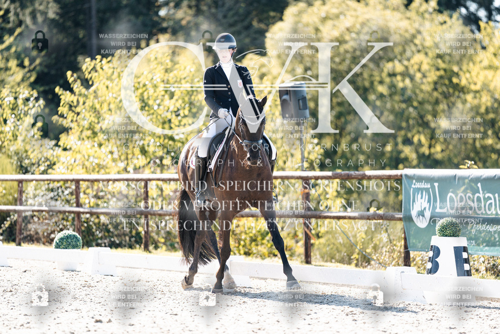 CK905534 | Turnierfotografie Pferdefotografie Trier Rheinland-Pfalz Pferdesport Reitsport Tierfotografie Sportfotografie Pferdevideo Pferdevideografie Equestrianvideography equestrianphotography  - Realisiert mit Pictrs.com