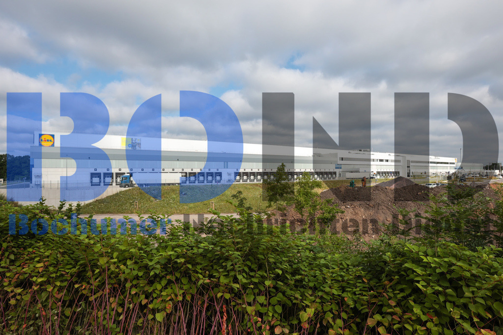 SES_BOCHER20250628-1 | bond - Realisiert mit Pictrs.com