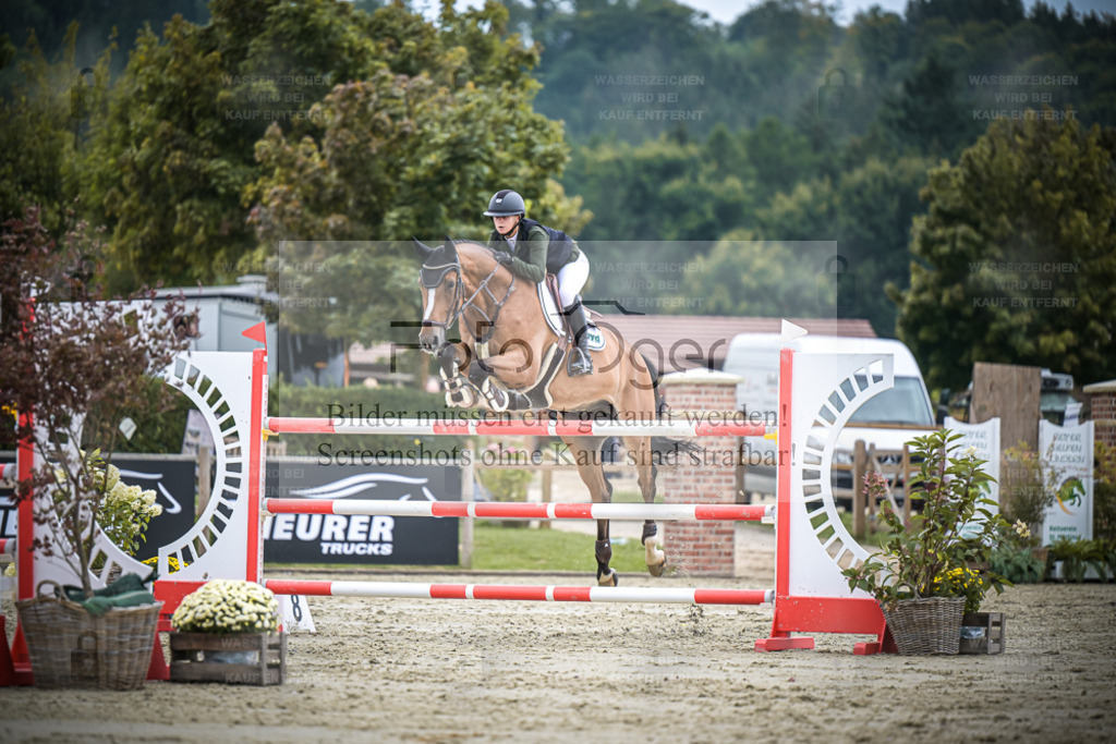 DOS_1464 | Entdecke hochwertige Reitturnierfotos von Foto Oger. Professionell, emotional und authentisch – jetzt Lieblingsmomente im Shop bestellen. - Realisiert mit Pictrs.com