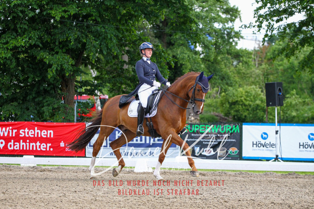 DKP41543 | Deine Turnierfotos vom Reitturnier online kaufen: Dressur, Springen & Siegerehrung. Professionelle Pferdefotografie aus dem Rheinland – als Download & Print.Alternative: Turnierfotograf für den Pferdesport: Finde deine Fotos von Dressur- und Springturnier