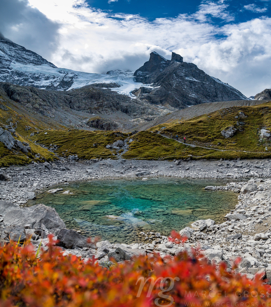 Oberhornsee im hinteren Lauterbrunnental mit Gletscher und rotem Busch | Oberhornsee is a remote mountain lake in the remote and wild end of Lauterbrunnen Valley - Realisiert mit Pictrs.com