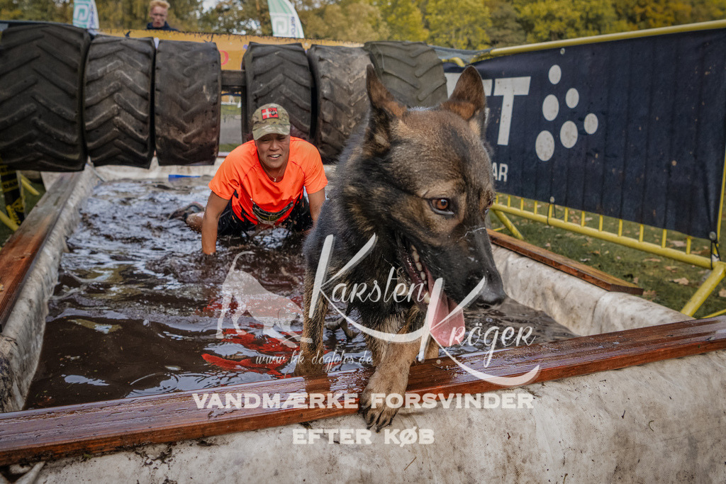 1450_ZZ90401-Bearbeitet | kk-dogfotos