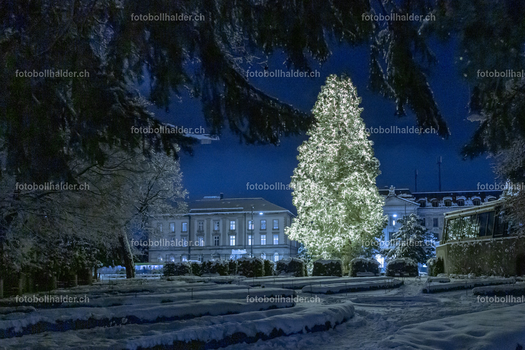 IMG_4778_1 | Foto Bollhalder 