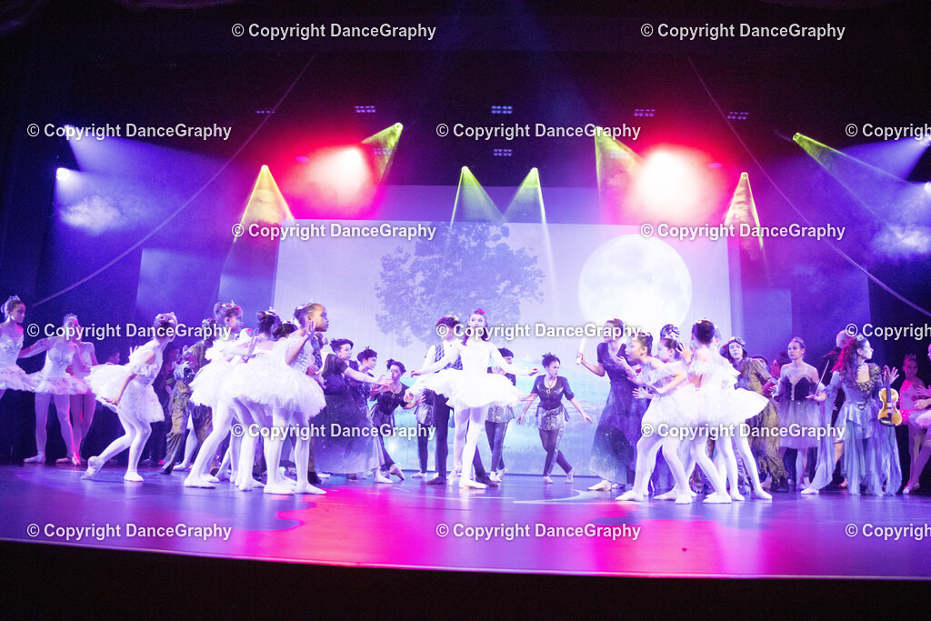 GPHY3436 | DanceGraphy - Realisiert mit Pictrs.com