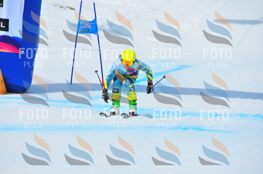 DSC_7265 | holidayphoto