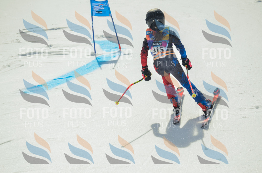 _ELE4355 | holidayphoto