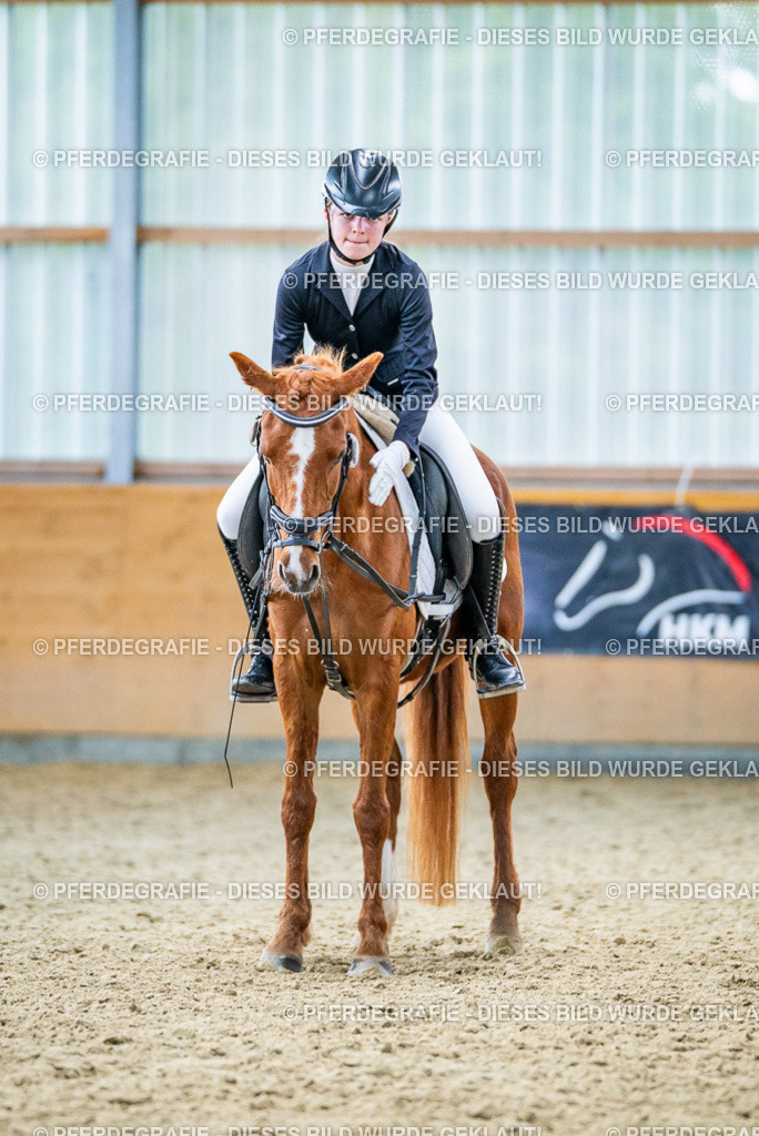 DSC04021 | Pferdegrafie